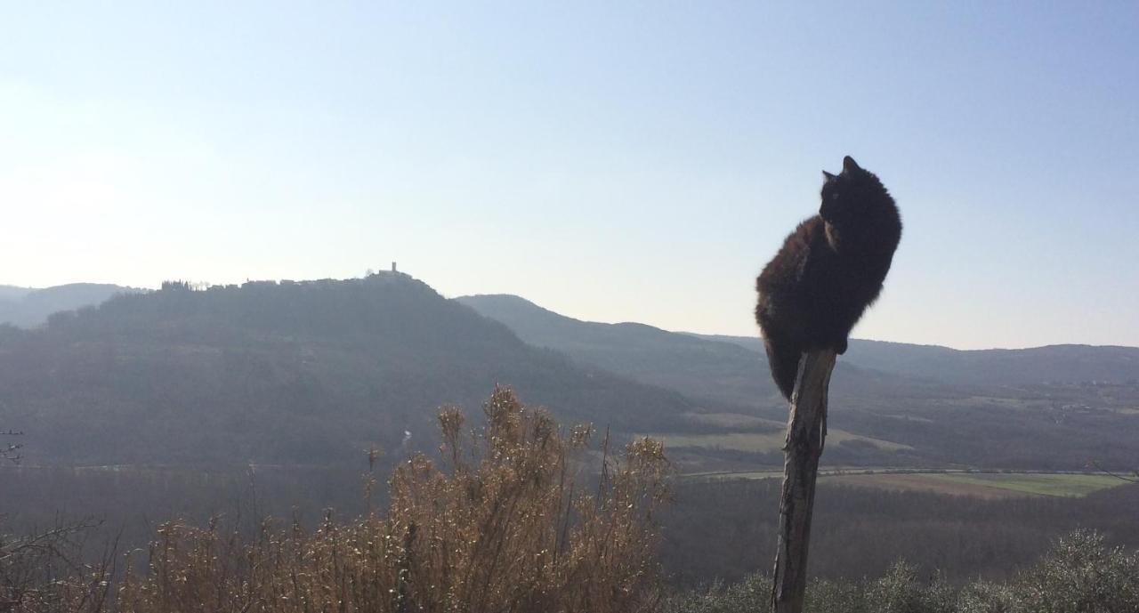 Motovun Bellevue - Amazing View, Comfortable Livade