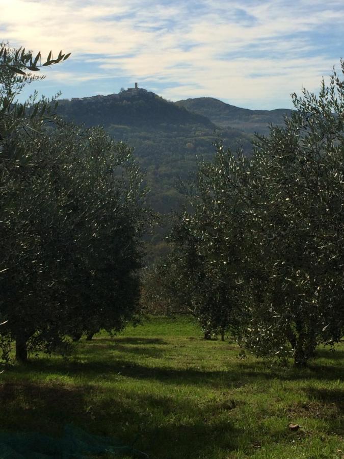 Motovun Bellevue - Amazing View, Comfortable * Livade