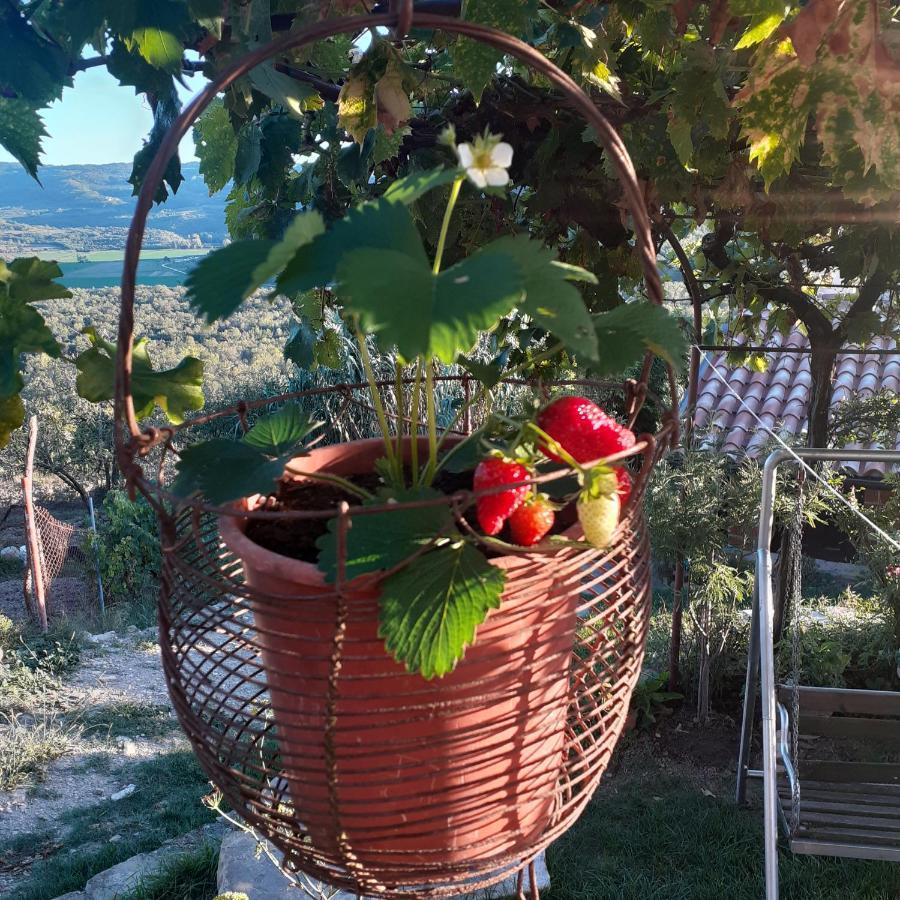 Apartment Motovun Bellevue - Amazing View, Comfortable *