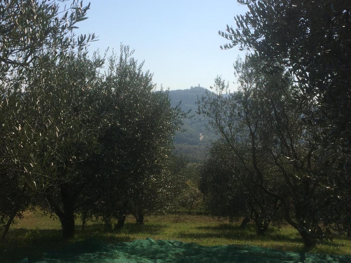 Motovun Bellevue - Amazing View, Comfortable * Livade